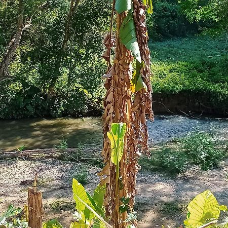 ホテル Nongkhiaw Campingsite Swimming Pool Ban Phathok エクステリア 写真